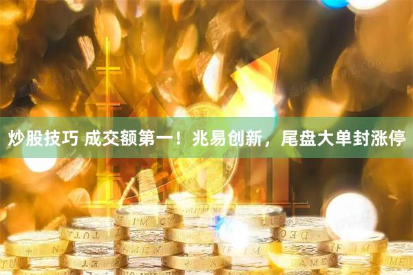炒股技巧 成交额第一！兆易创新，尾盘大单封涨停